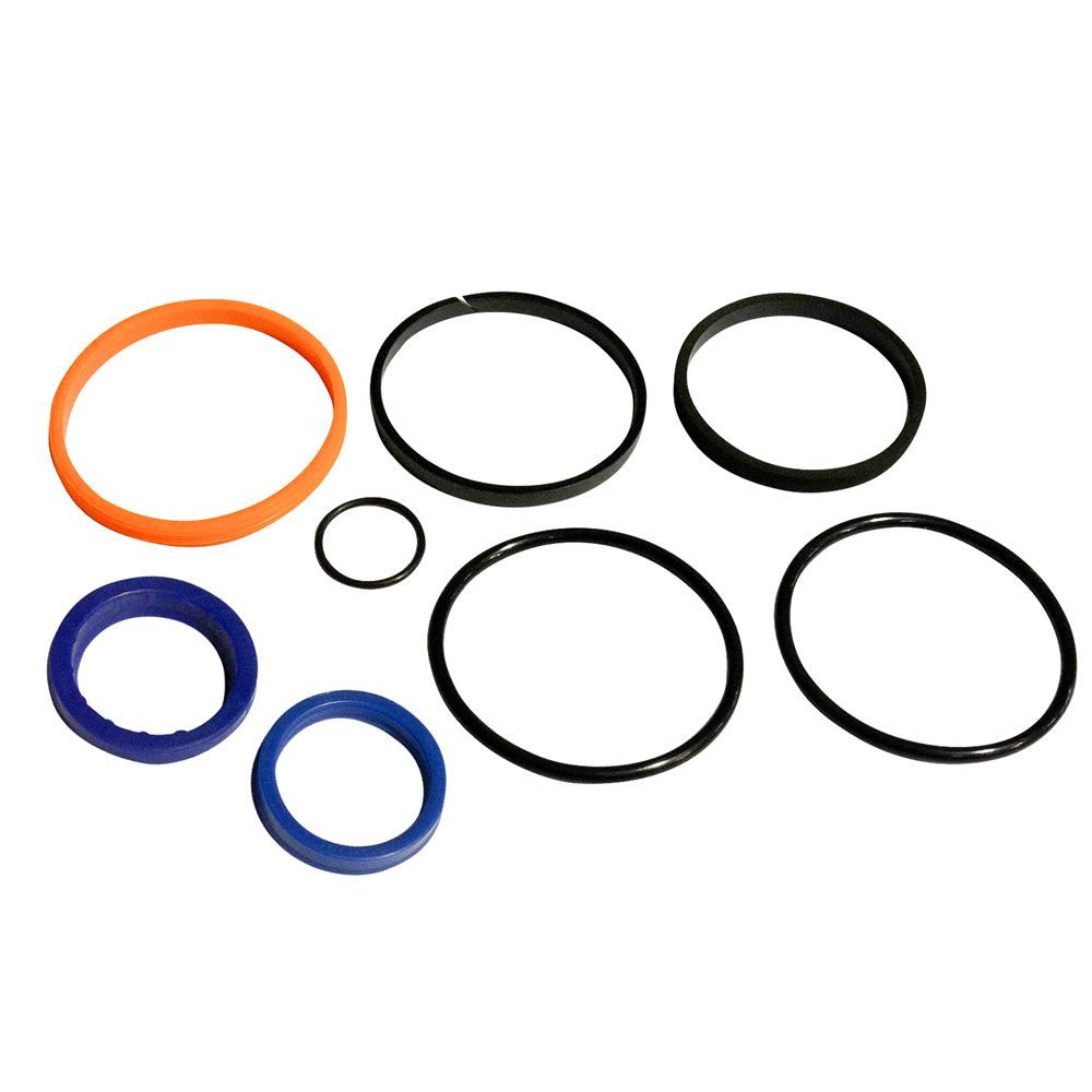 Seal Kit, 2-1/2 In. Bore, 1-1/8 In. Rod