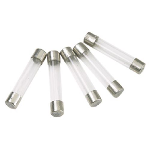 1 AMP Fuse, 5 Pack