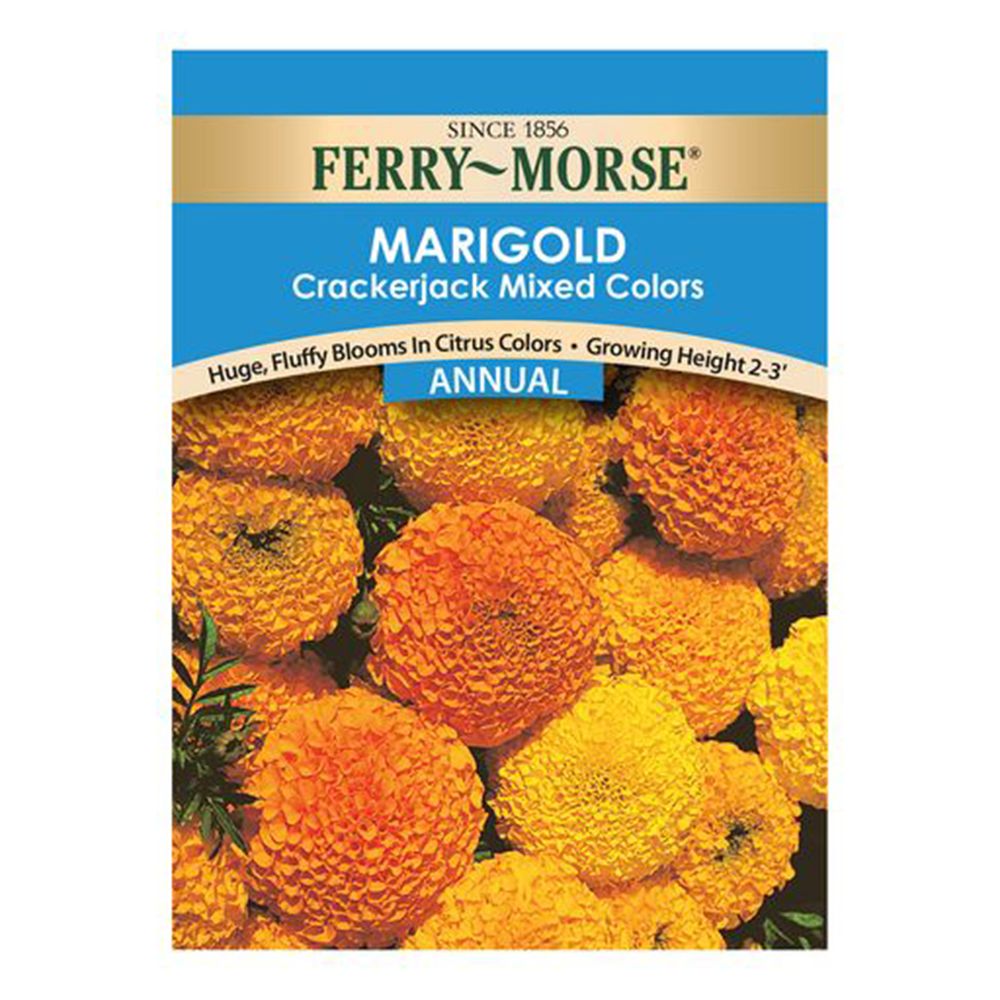 Ferry~Morse&reg; Marigold Crackerjack Mixed Colors Annual Seeds