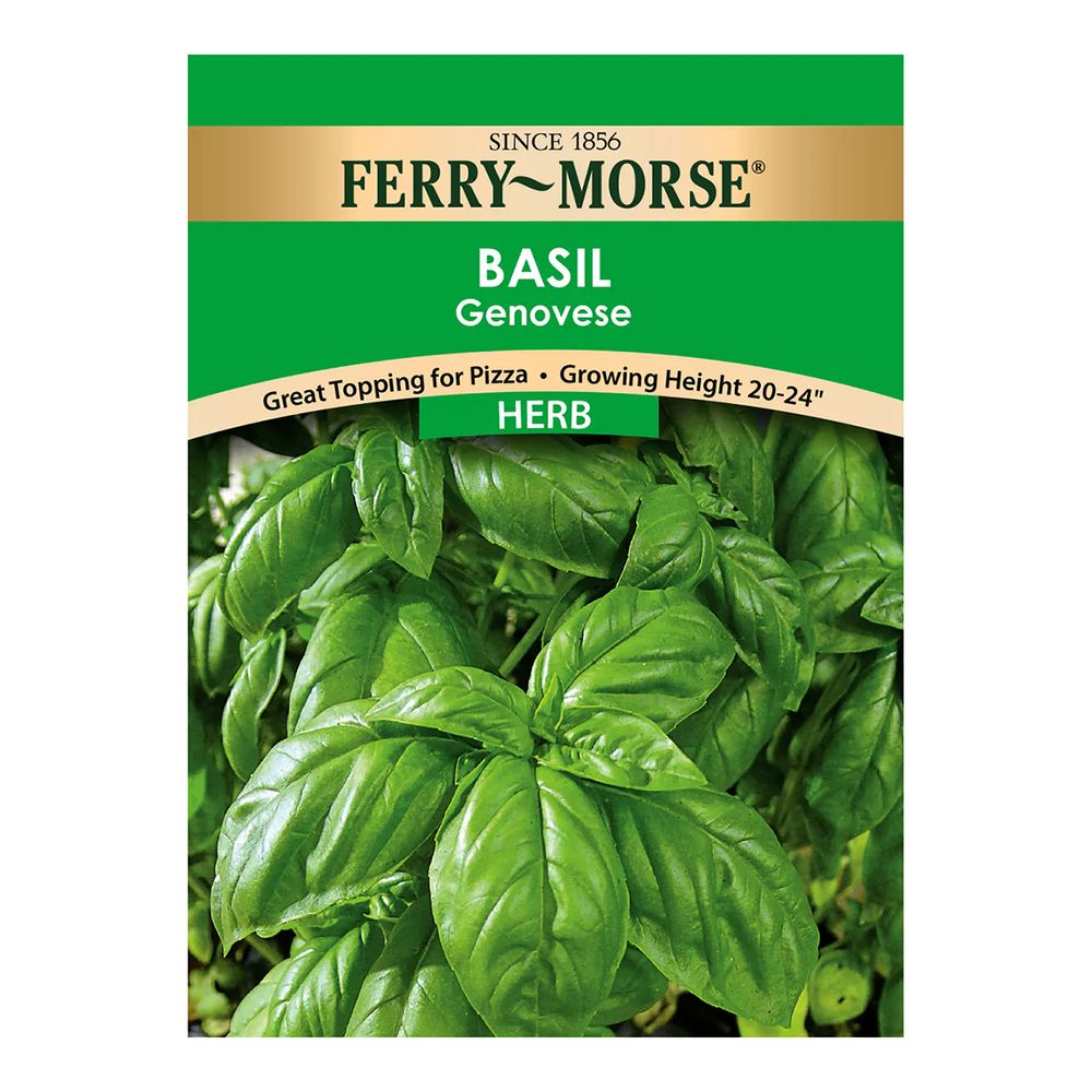 Ferry~Morse&reg; Herb Basil Genovese Seeds
