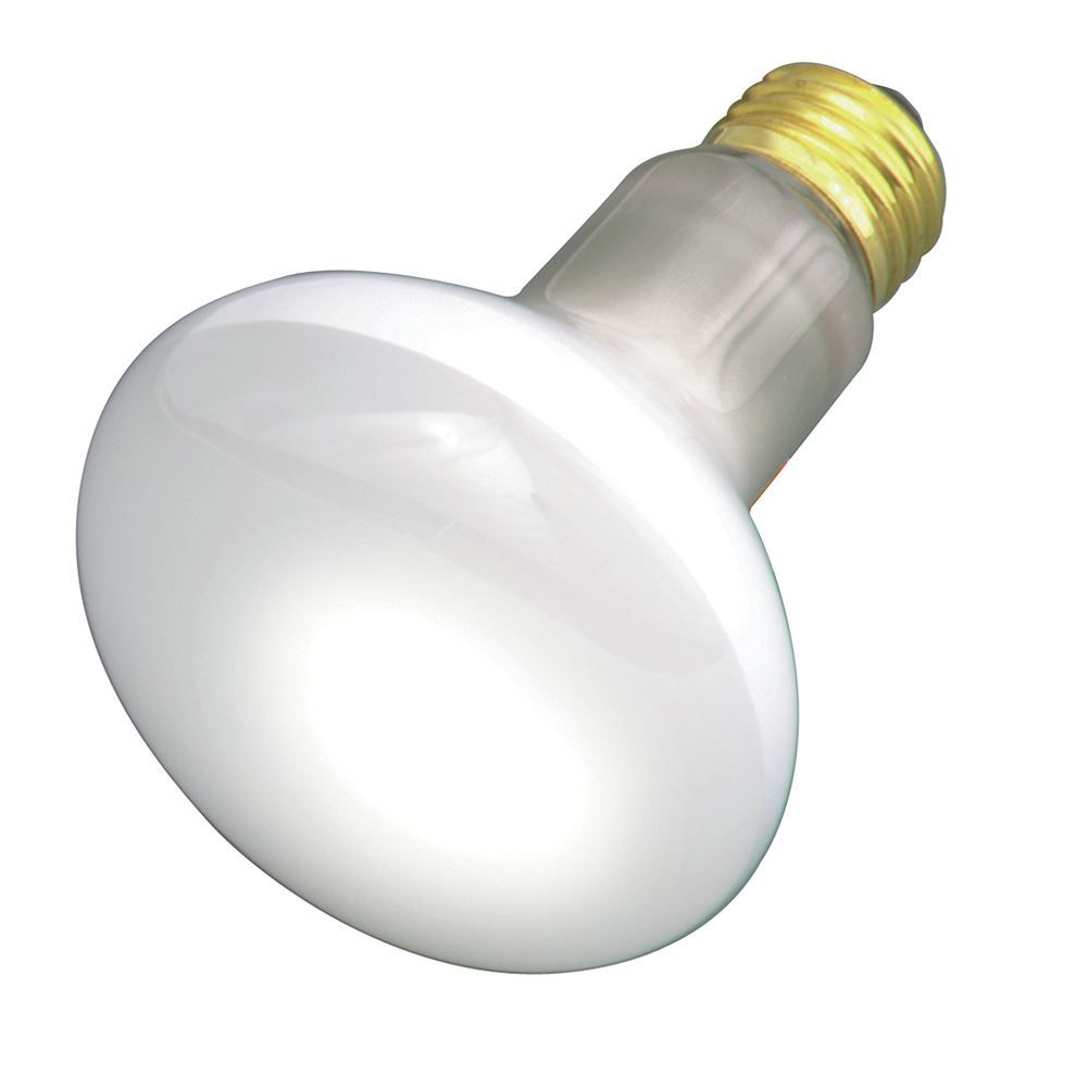 Frosted Reflector Bulb 30W
