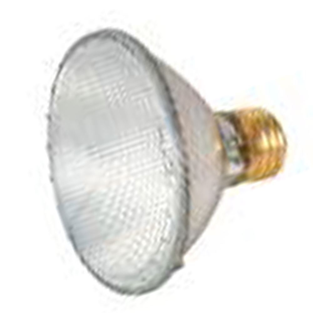 Clear Halogen Flood Bulb 39W