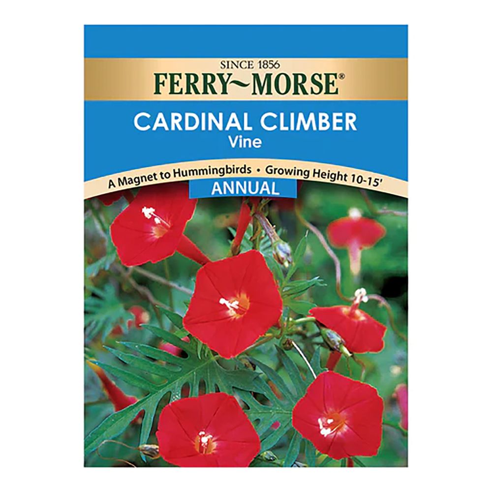Ferry~Morse&reg; Cardinal Climber Vine Annual Seeds