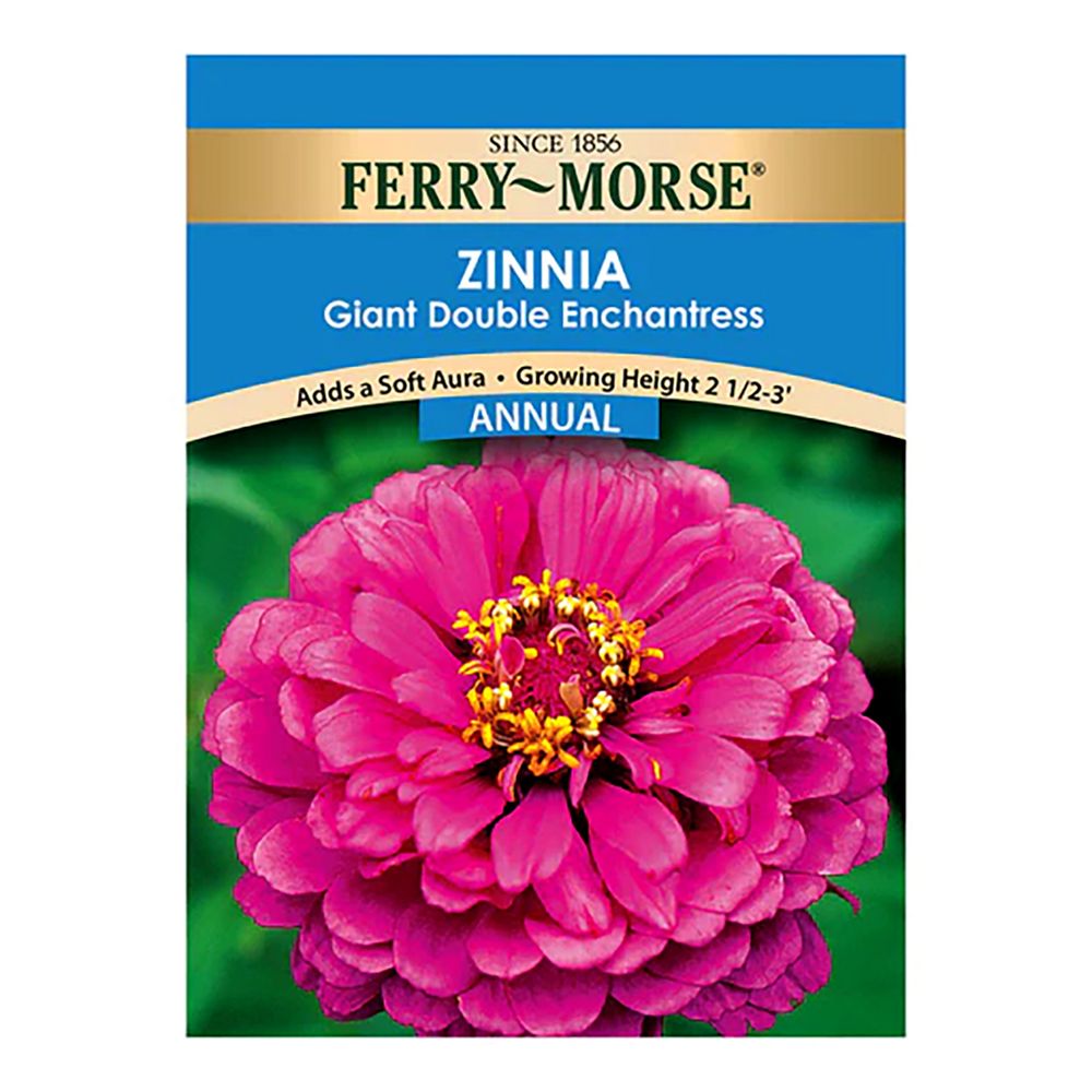 Ferry~Morse&reg; Zinnia Giant Double Enchantress Annual Seeds