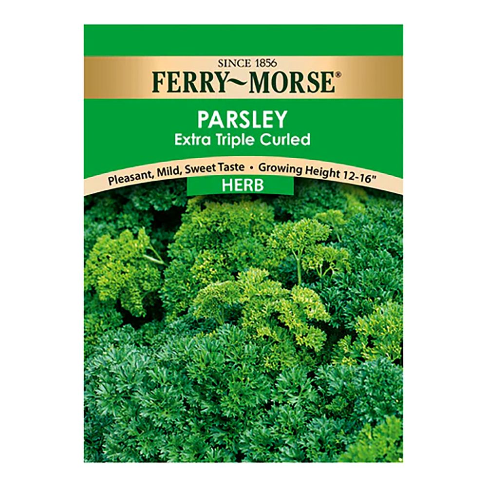 Ferry~Morse&reg; Parsley Extra Triple Curled Herb Seeds