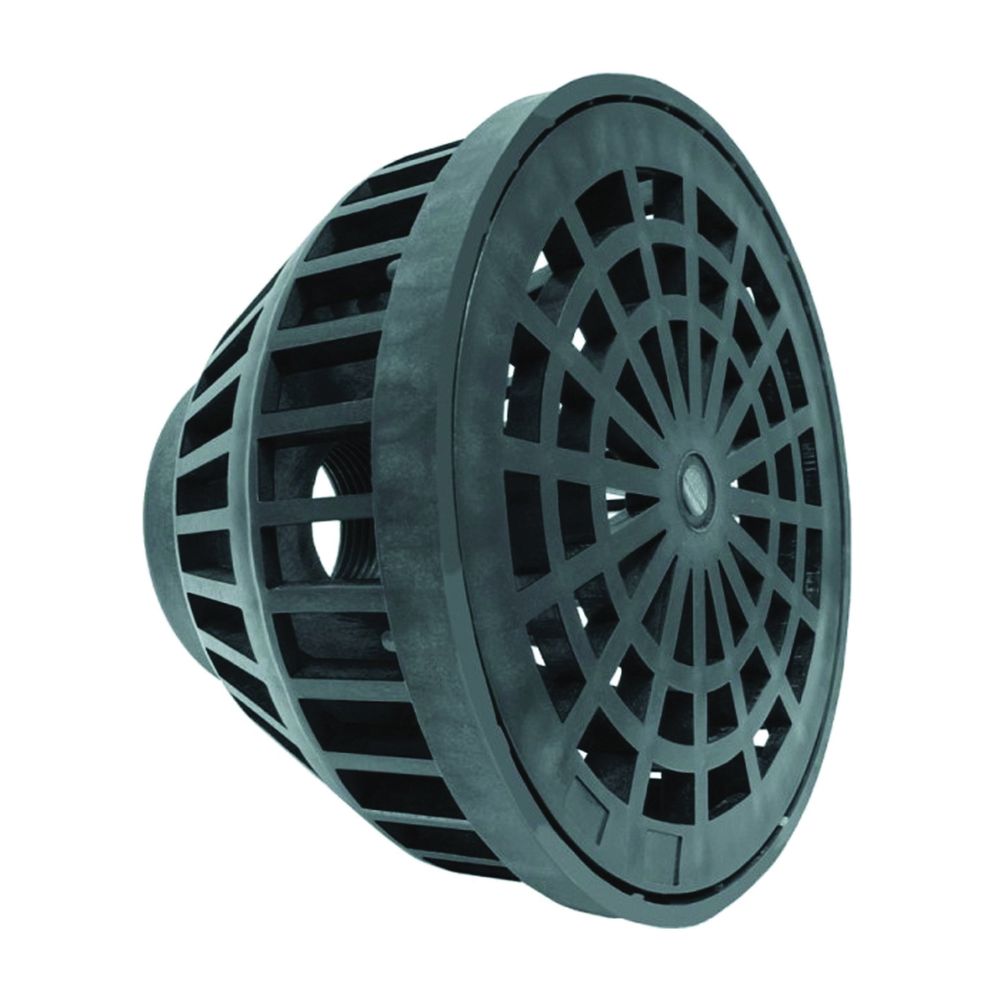 Green Leaf 2 in. FNPT Basket Suction Strainer