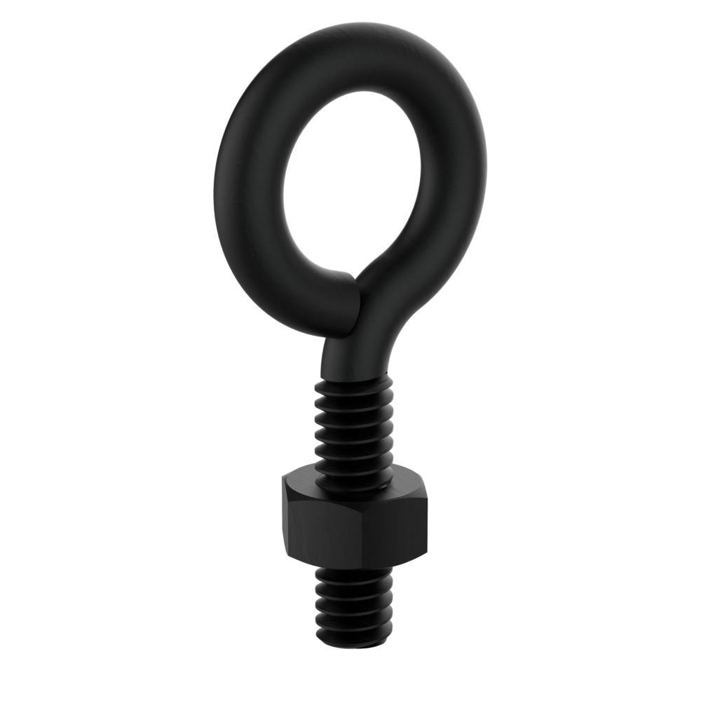National Hardware 1/4 in. x 2 in. Storm Shine Eye Bolt with Nut