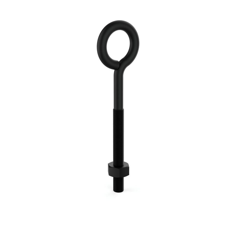 National Hardware 3/8 in. x 6 in. Eye Bolt with Nut