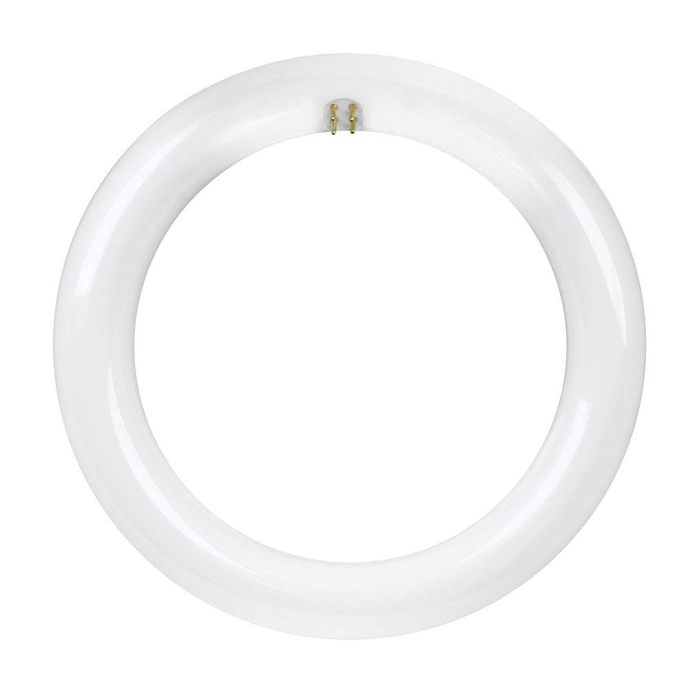 Feit Electric 8 in. 4-Pin Circular LED Light Bulb