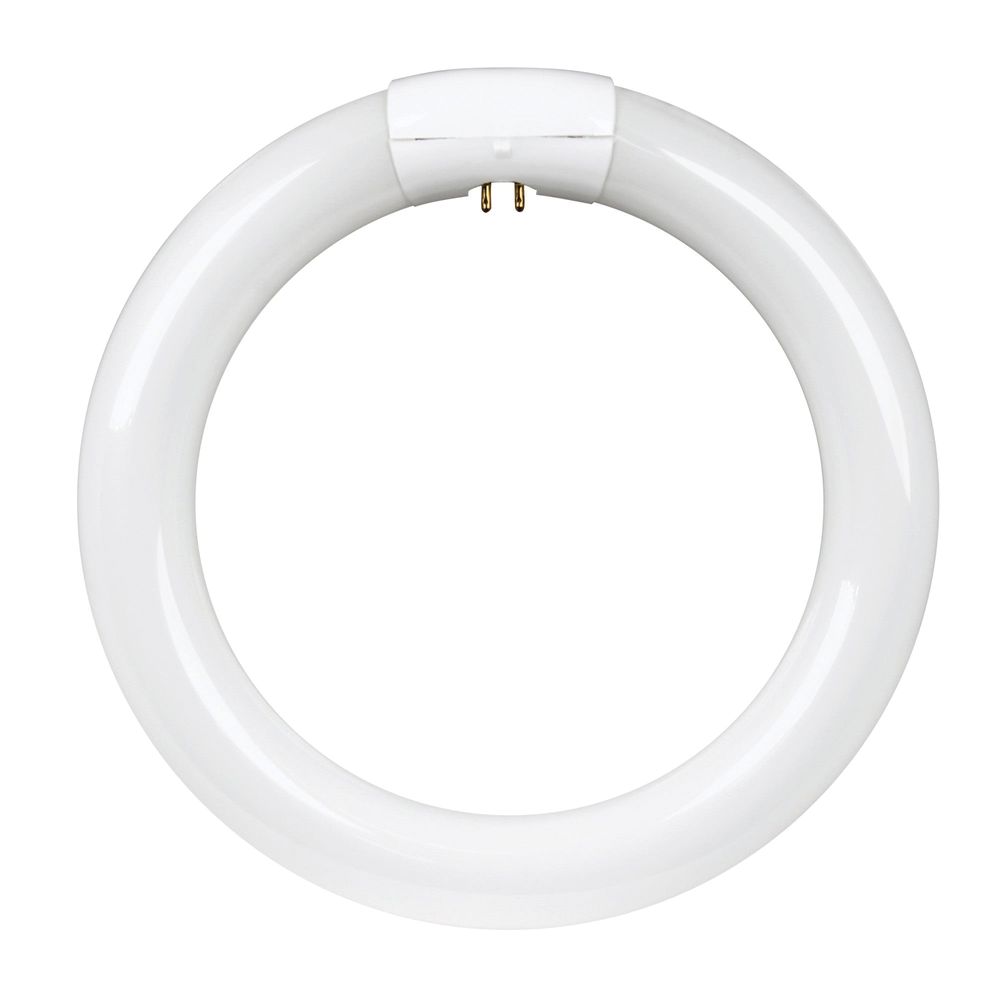 Feit Electric 8 in. 22 W. T9 4-Pin Cool White Circline Fluorescent Bulb
