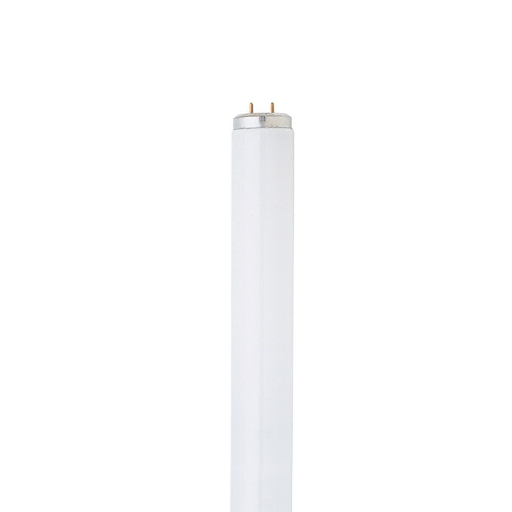 Feit Electric 48 in. 32W T8 Fluorescent Bulb, 2-Pack