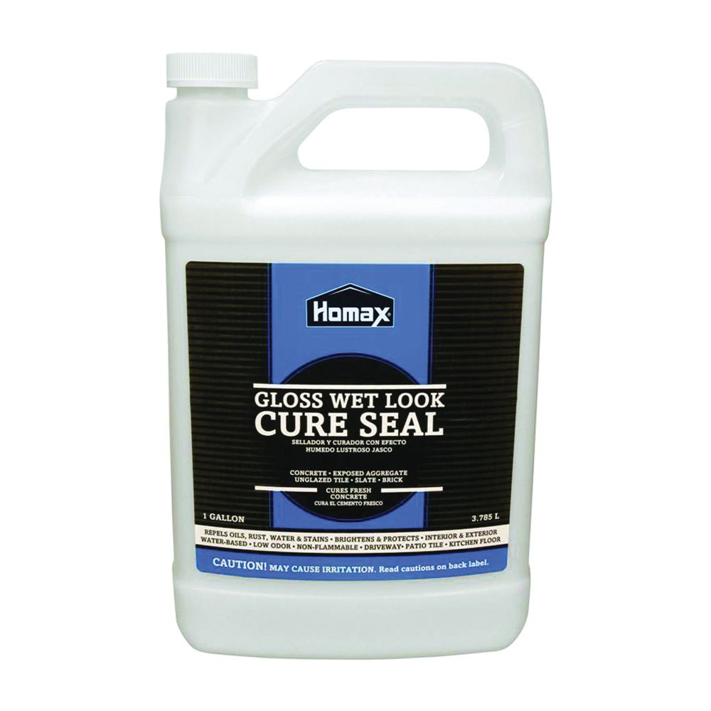 Homax 1 gal. Wet Look Cure Masonry Sealer