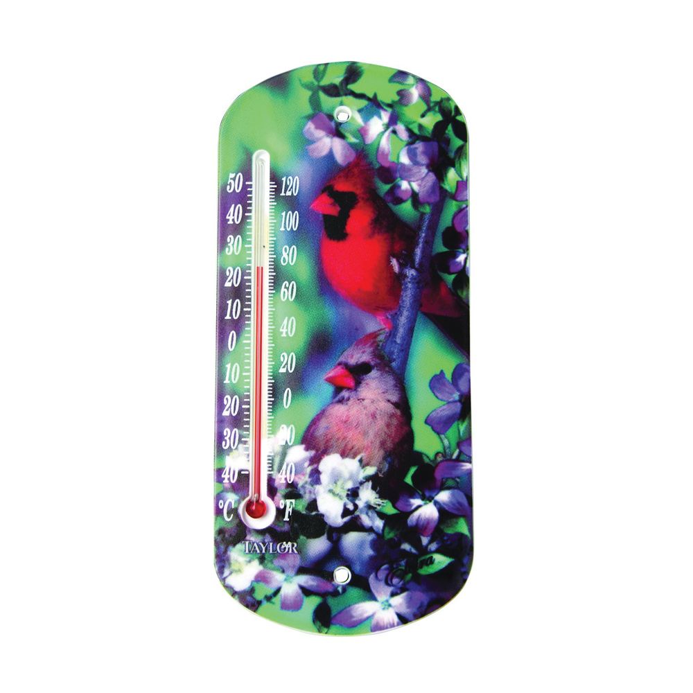 Taylor 8 in. Outdoor Suction Cup Thermometer