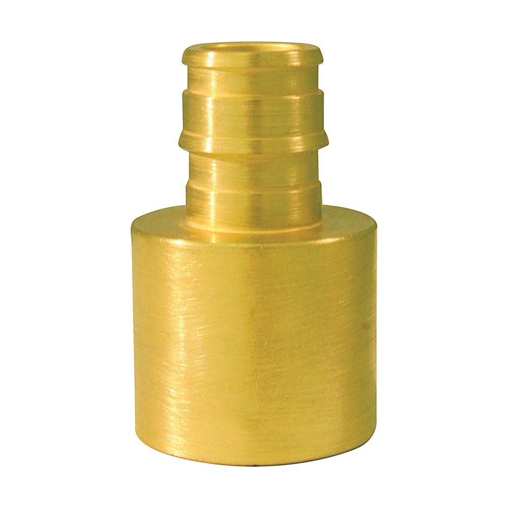Apollo 1/2 in. x 3/4 in. Barb x Female Sweat Reducing Pipe Adapter