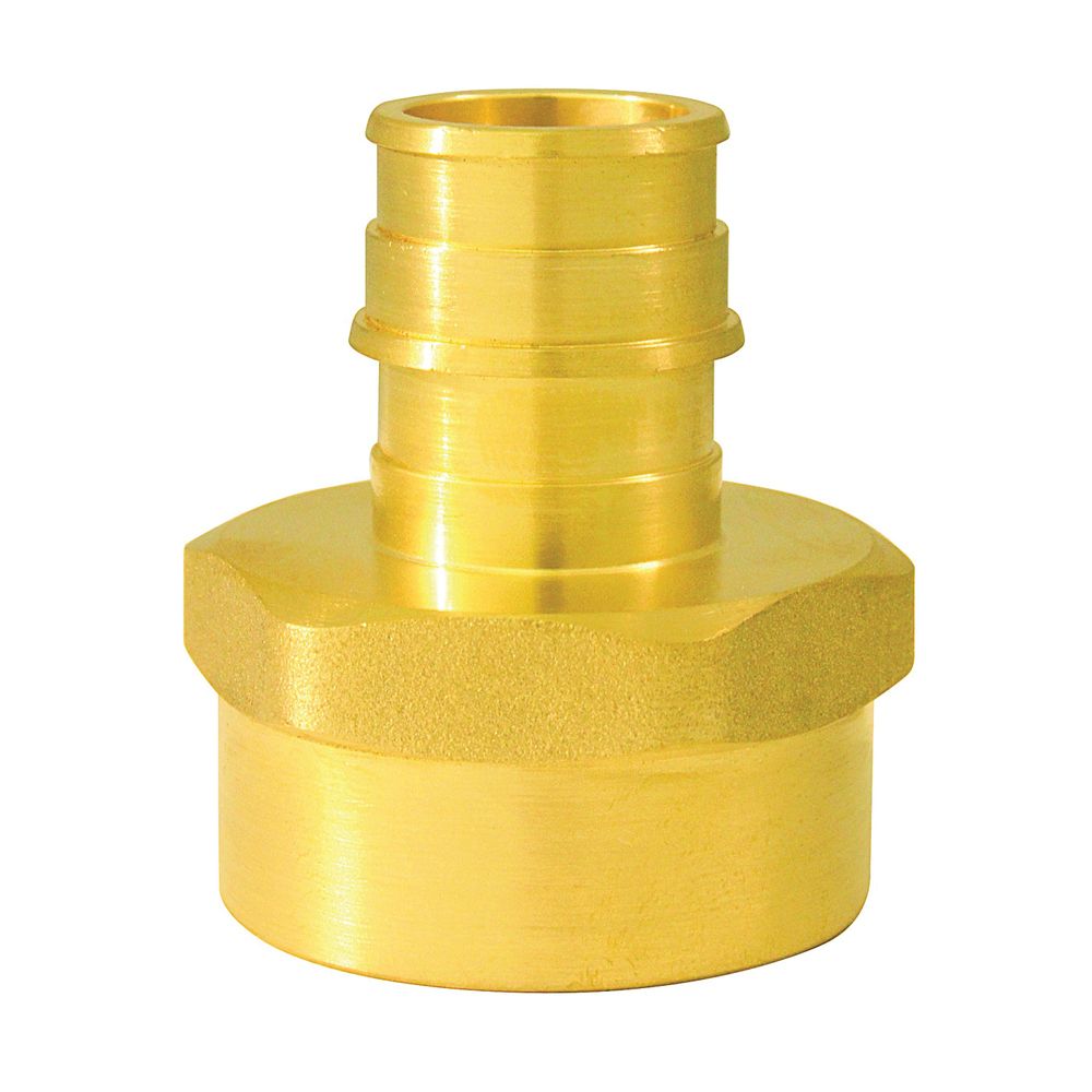 Apollo 3/4 in. x 1 in. Barb x FNPT Reducing Pipe Adapter