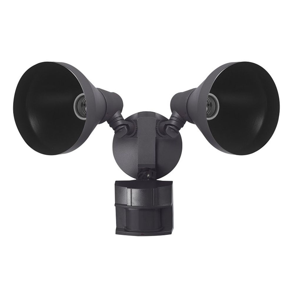 Globe Electric 180-Degree PAR Motion Security Flood Light, Bronze