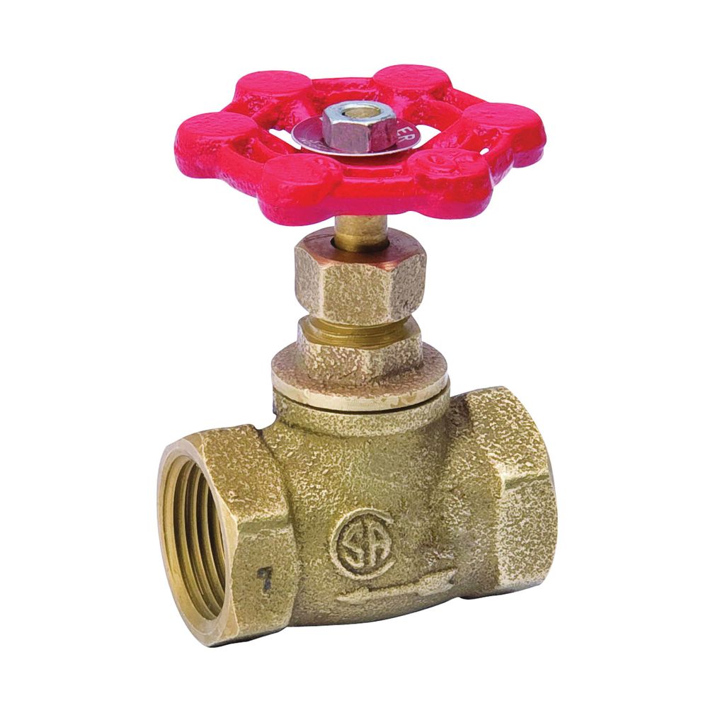 Prosource 1/2 in. IPS Stop Valve