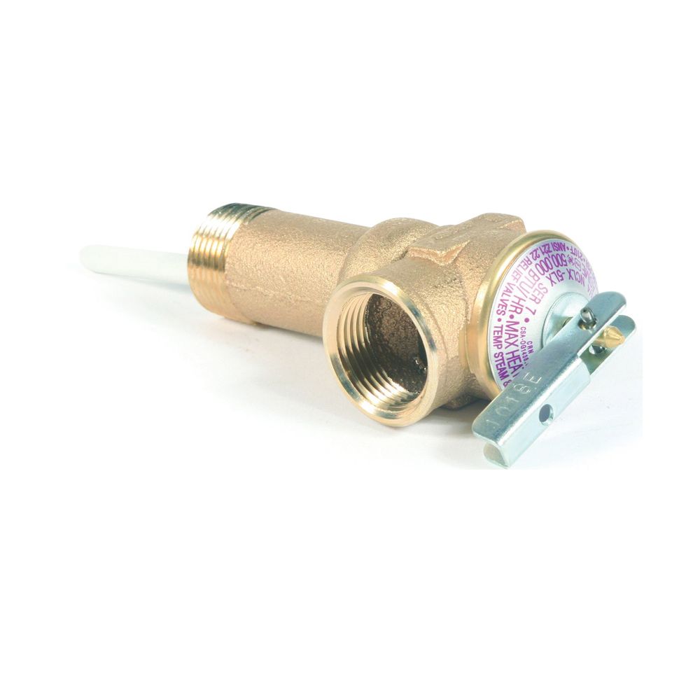 Camco USA 3/4 in. x 2-1/2 in. T&P Relief Valve