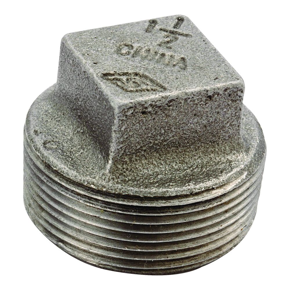 ProSource 2 in. Black Malleable Iron Pipe Plug