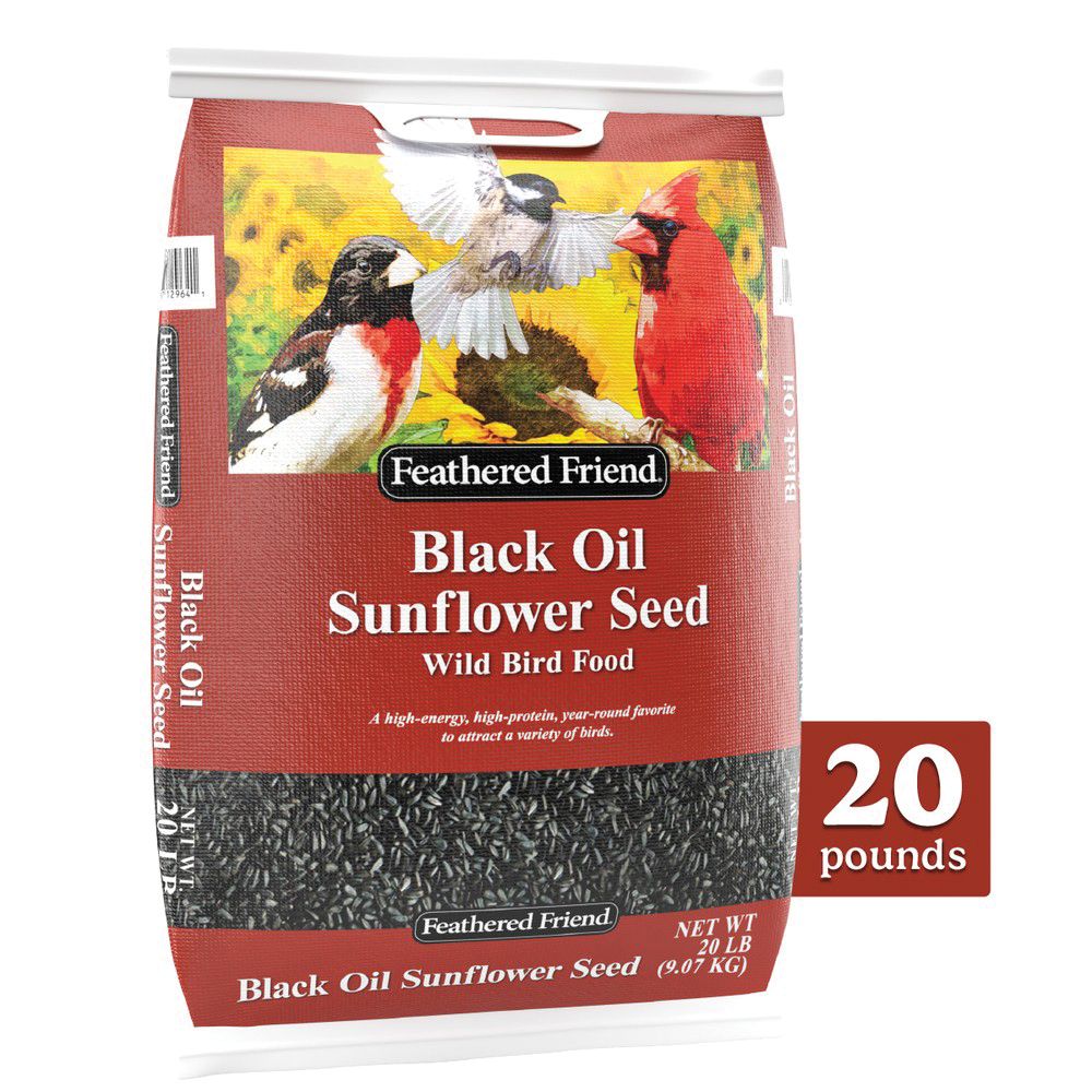 Feathered Friend 20 lb. Black Oil Sunflower Seed Wild Bird Food
