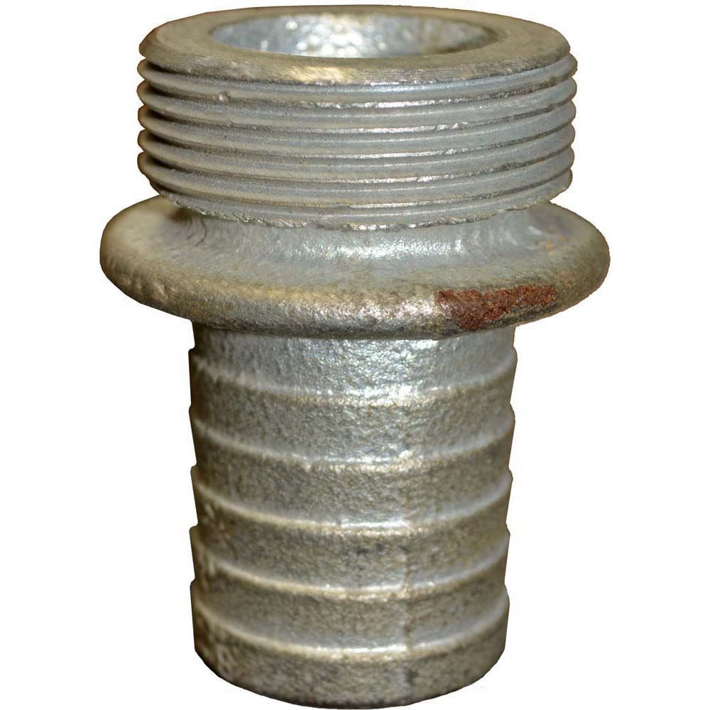 S Male Shank