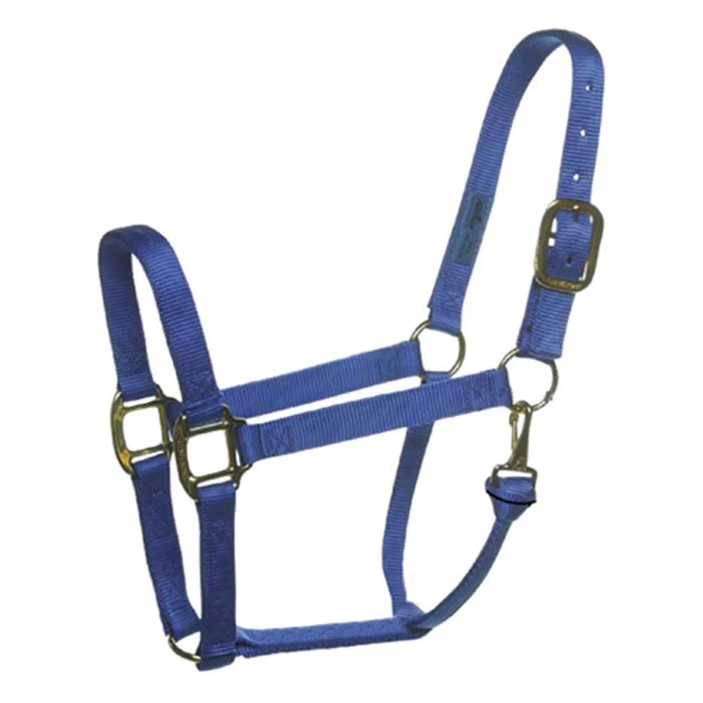 Horse Halter Nylon: Durable, Comfortable, and Stylish Choices